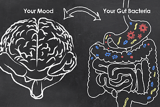 Un intestino sano, una vita felice?