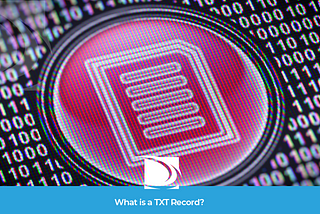 What is a TXT Record?