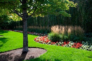 Chicago Botanic Garden’s Expansive Native Plant Garden