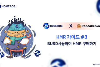 HMR 가이드 #3: BUSD사용하여 HMR 구매하기
