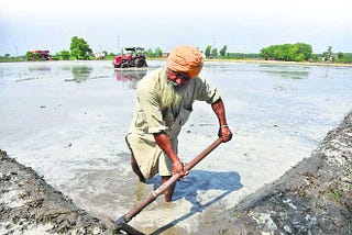 Brief on
Challenge of Water Resources Scarcity and Degradation in Punjab