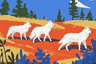 The Dire Wolves are back… or are they?