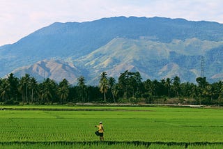 Transforming food systems in the face of climate change: Encouraging meaningful youth participation