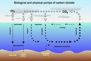 Influence of Carbon Emission