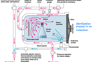 Sterilisation process in detail