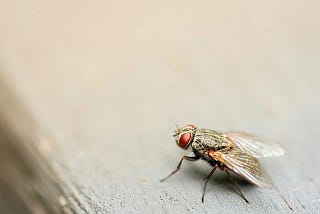 Are You Using a Brick to Kill a Fly? When the Solution Is Bigger Than the Problem