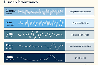 Human Brainwaves & Flow State