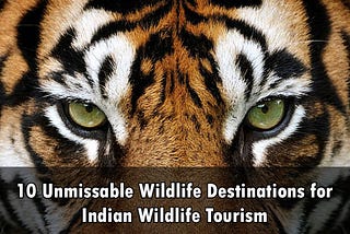 10 Unmissable Wildlife Destinations for Indian Wildlife Tourism