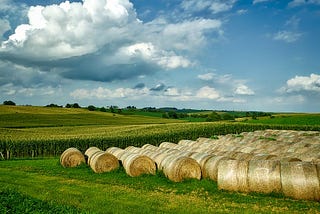 An Iowa cornfield, with bales of hay in the foreground.