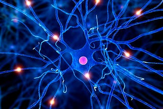 Introduction to Spiking Neural Networks: A Biological Background