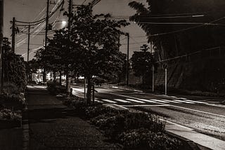 A quiet neighborhood street after rain, the street wet and shining