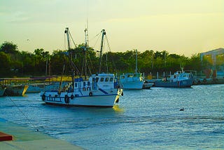 Iniciativa entre la FAO y Cuba impulsa uso sostenible de los recursos marinos en Golfo de…