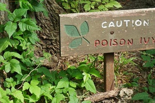 23 Poisonous Plants to Avoid & Their Health Impacts