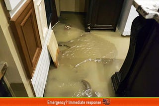 How These 5 Water Damage Restoration Tips Will Give You Peace Of Mind In The Clean Up