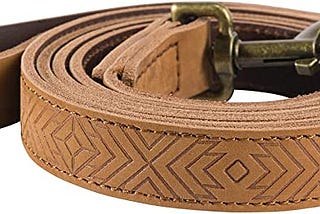 Does an E-Collar Count as a Leash? Everything You Need to Know in 2023