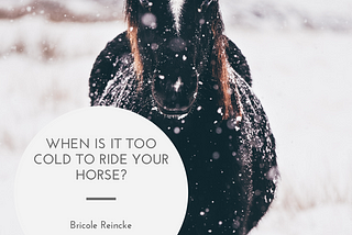 When is it Too Cold to Ride Your Horse?