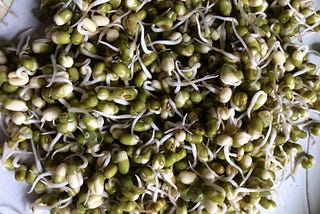 Sprouts, A Living Food