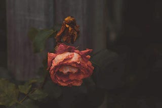 Life Is A Death Sentence: You Can Either Get Busy Living Or Get Busy Dying