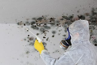 The Guardian of Your Home: Hiring a Private Mold Inspector for Peace of Mind