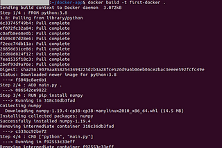 Installing Docker, and Creating, Running First Python Script Using it on Ubuntu 20.04 LTS