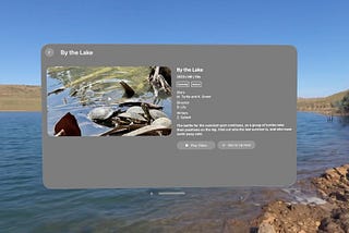 Add Skybox To VisionOS Immersive App — Vision Pro, RealityKit Tutorial