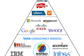 What are the types of software companies in India?