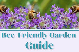 How to Attract Bees to Your Garden: 4 Easy Tips