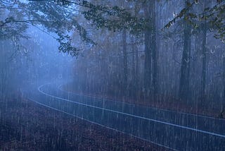 Barulho de Chuva para Dormir Profundamente — Som de Chuva Forte e Trovões na Floresta Nebulosa