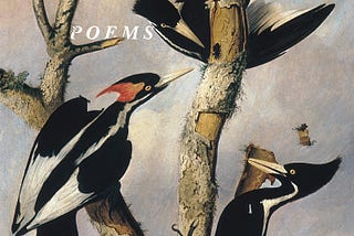 Holiday Gift Guide for Poetry Lovers