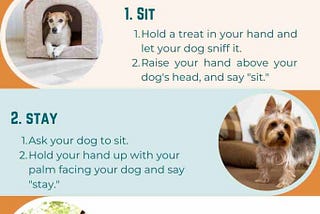 How To Train Small Dogs