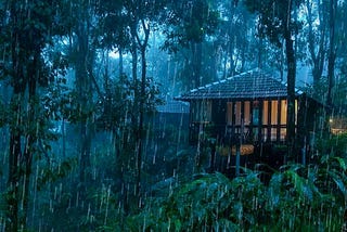 Barulho de Chuva para Dormir Imediatamente — Som de Chuva Forte e Trovões no Telhado na Floresta