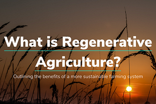 Regenerative Agriculture: the future of farming
