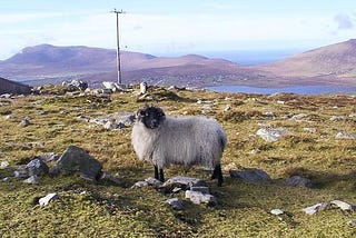 Are Young People Rejecting Rural Ireland? (2014)