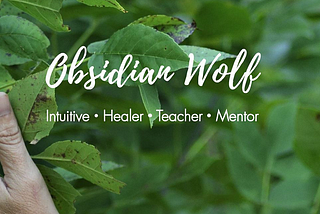 Website Launch for Obsidian Wolf