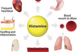 Top 10 Effective Methods to Clear Histamine from the Body