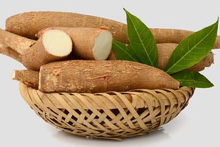 A business case for Cassava cultivation