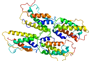 The World Of Regeneration — Regenerative Medicine