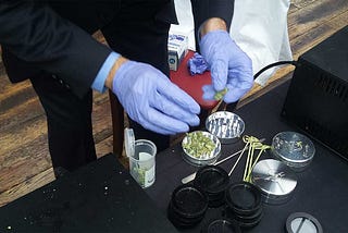 CANNABIS’ POTENCY TESTING IN DC: Why Growers Still Need More Info