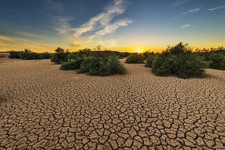 SUGGESTS FOR A WORLD WITHOUT WATER SHORTAGE