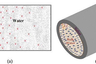 Exclusion Zone Around Mitochondria