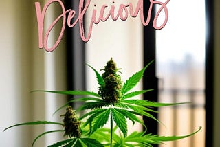 Será que a flor de cannabis é realmente deliciosa?