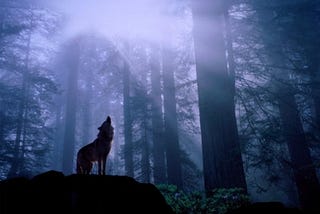 The Lone Wolf of the West