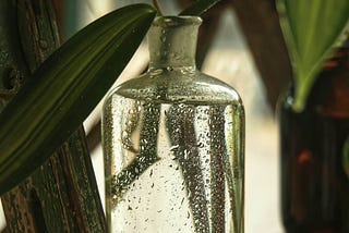 A bottle with a plant inside