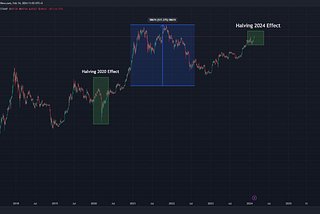 Top 10 Coins For Crypto Market Bull Run 2024