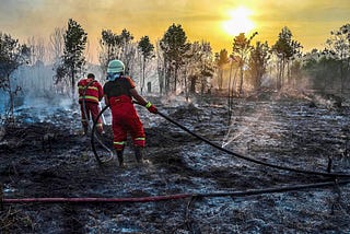 More hopes to end forest fires in Indonesia