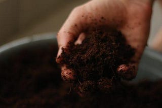 What is soil testing? A beginner’s guide