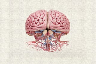 I Published the Brainstem Hypothesis of Long Covid in 2021. New Studies Now Validate It
