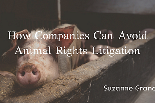 How Companies Can Avoid Animal Rights Litigation