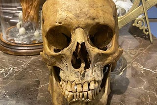 On trying to buy a human skull