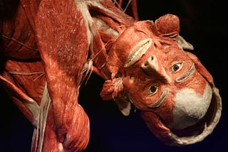 Fascinating, educational–or downright disturbing? Body Worlds finds a home in London